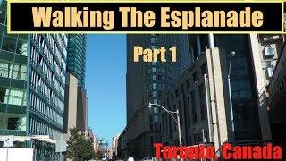 Walking The Esplanade - Part 1