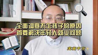 全面调查分析不生孩子的原因，首要解决年轻人就业问题