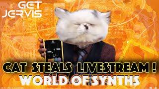 Synth Secrets: A Cat & a Play Fader First look & live Chat On Getjervis' World Of Synths! Episode 16