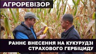 АГРОРЕВІЗОР: Страховий гербіцид на кукурудзі, що впорався «за двох»  / СуперАгроном