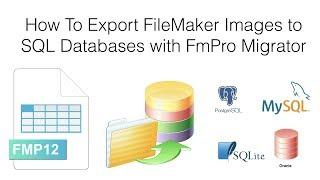 How To Export FileMaker Images to SQL Databases with FmPro Migrator Platinum Edition