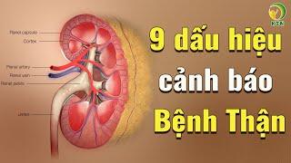 9 dấu hiệu cảnh báo chức năng thận bắt đầu suy yếu — KHỎE TỰ NHIÊN