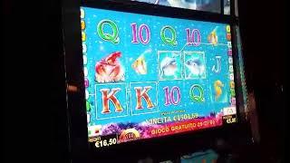 slot machine bonus dolphins pearl