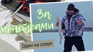 Крокодилы безымянного озера. Щука на  зимние жерлицы.
