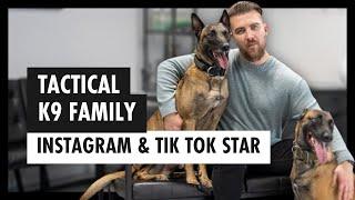 Malinois in everyday life: work, training and dog care - Tactical K9 Family Part 2