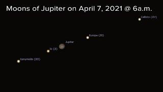 Skywatch 16: Jupiter in the morning sky