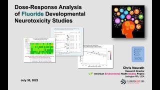 A Dose-Response Analysis of Fluoride Neurotoxicity Studies (2022)