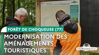 Modernisation des aménagements touristiques : dernière phase | Forêt de Choqueuse