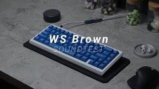 The WS Brown Tactile switch from Wuque Studio is something else - Soundtest with Sangeo65