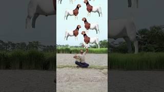 Bakri aur mithaai#vfx#magic #logical #funnyvideo#viralshort #vfx surendra bhai#funny#trendingshorts