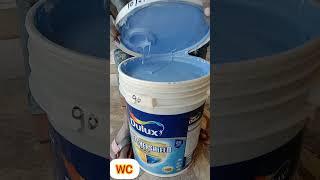 Dulux Weathershield Max Product Demonstration ???