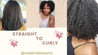 Straight to curly|how to revive curls with a protein treatment after a silk press|high porosity hair