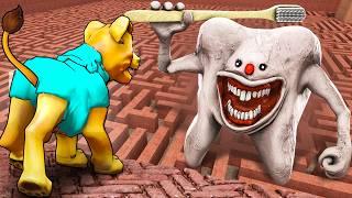 Can INFECTED TOOTH find me in a MAZE?! (Garry's Mod Sandbox)