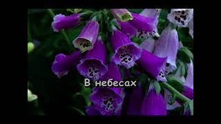 Звёздные 90-е ч4 (for Илья Кирсанов)