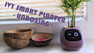 Ivy smart planter - Unboxing