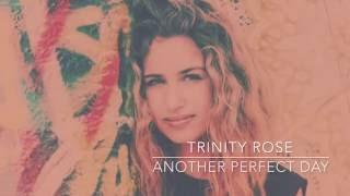 Another Perfect Day - Trinity Rose