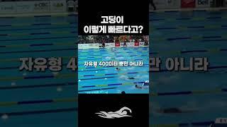 넘사벽 고딩