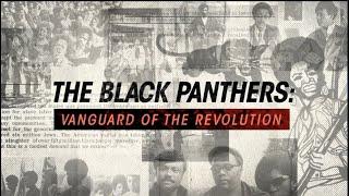 Black Panthers: Vanguard of The Revolution