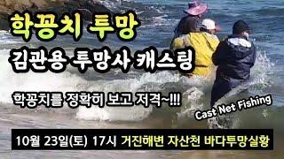 거진 자산천 학꽁치투망 실황,김관용 투망사 직접 캐스팅 영상,사요리투망,cast net fishing, pesca, 메탈배스 #학꽁치투망#바다투망달인#강원도고성거진항화진포북천실황