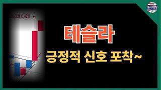 신규 매수 공개, 테슬라, soxl, 알파벳, 애플