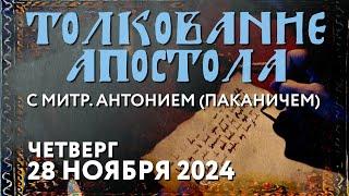 Четверг, 28 ноября 2024 года. Толкование Апостола с митр. Антонием (Паканичем).