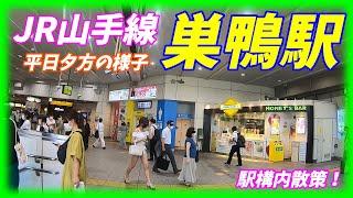 【夕方ラッシュ】JR山手線、巣鴨駅構内を散策！(Japan Walking around Sugamo Station)