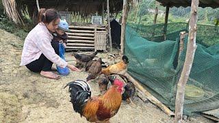 Daily Life of a Single Mother - Harvesting Vegetables to Sell at the Market | Mụi Muội - My life