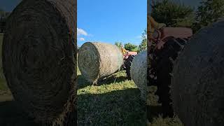 Farming the Homestead: Long days and a lot of hay!