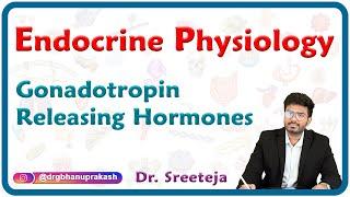 Gonadotropin Releasing Hormones : Endocrine physiology USMLE Step 1