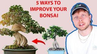 5 METHODS For Better Bonsai From Cheap Plants