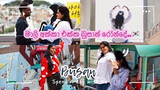 Busan වල රවුමක්  | K drama Locations බලන්න යමු  @maliekkaronde