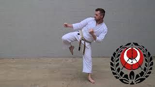 Karate Moves | MAWASHI GERI - Round House Kick