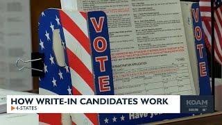 How write-in candidates work