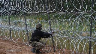 Poland's Bialowieza Forest - Scientists say wildlife in East Poland suffers from new border fence