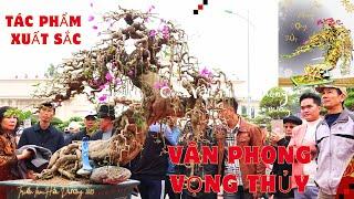 Outstanding Paper Flower Artworks at the Hai Duong Exhibition | Bonsai Dat Cang