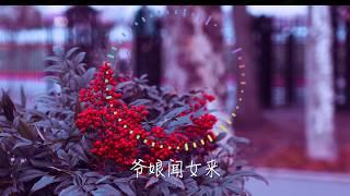 【无广告版】- 木兰诗 - 音谋论 【动态歌詞/Lyrics Video】-「唧唧复唧唧木兰当户织，不闻机杼声惟闻女叹息」在餐厅輕鬆營造氛圍 - #抖音音乐 - #快手音乐