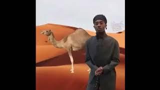 punk monk- playboi carti (sped up)