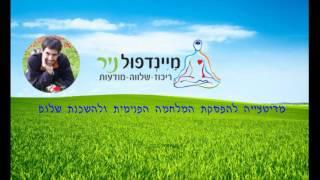 מיינדפולנס: מדיטציה להפסקת המלחמה ושלום פנימי