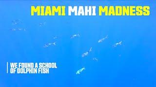 Mahi Madness in Miami - And All We Caught Was This Video