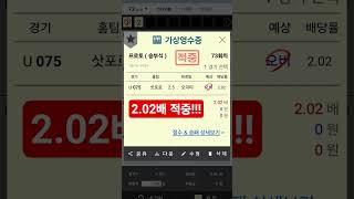2025-06-18 멤버쉽 조합 픽 적중