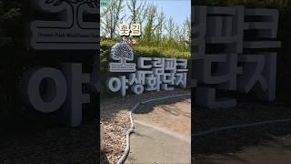 훗길- 김소월. #shorts #걷고싶은풍경 #아름다운풍경 #시가있는풍경 https://youtube.com/shorts/VS1N1drfLnU