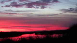 Rules for the Black Birdwatcher - With Drew Lanham