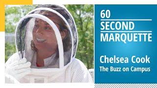 The BUZZ on Campus | 60 Second Marquette