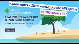 Денежное дерево. Какой приз за 700 опыта в Денежном дереве Алиэкспресс?