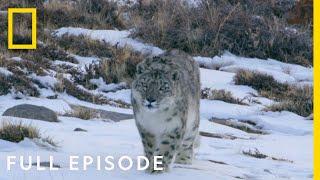 Mountains (Full Episode) | Hostile Planet