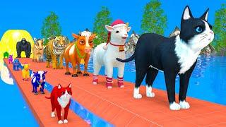 Paint Animals Duck,Tiger,Cow,Lion,Buffalo,Gorilla,Elephant,Dinosaur Fountain Crossing Animal Game Co