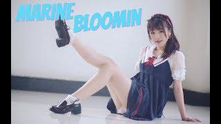 【小熊 •一周年】Marine Bloomin'