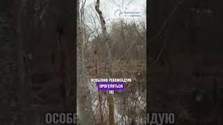 От Калининграда до Камчатки. Путешествие по России: Арт усадьба Веретьево.