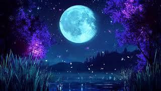 Epidemic Relax: Soothing Music for Deep Sleep & Stress Relief | Perfect for Relaxation