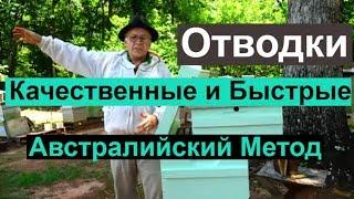 Пасека #79 Отводки Качественные  и Быстрые, Австралийский метод  | Пчеловодство для начинающих